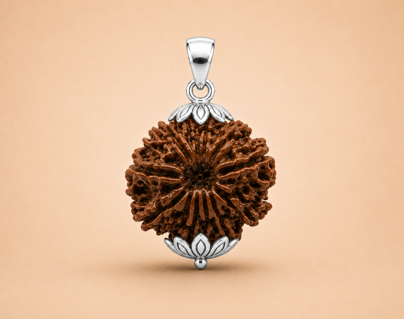 12 Mukhi Rudraksha (Nepal Origin)